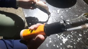 Рыбочистка с Вайлдберриз