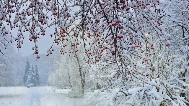 Релакс для Души, Музыка для Отдыха.- Relaxation for the Soul, Healing Music for Relaxation.