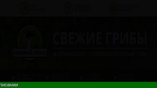 Купить Грибы Для Выращивания