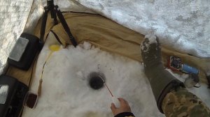 Зимняя Рыбалка ОВХ ТАЙВАНЬ. Окунь в глухозимье.