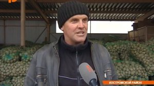 к/х Коростелёво. 2016г