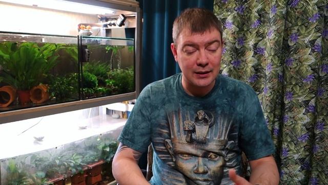 Где лучше покупать рыбок и растения? В зоомагазине или на птичьем рынке? AQUAбеседы #1 смотреть онлайн