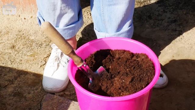 Навоз как удобрение ✔ Виды навоза и особенности применения ➡ Обзор эксперта HitsadTV смотреть онлайн