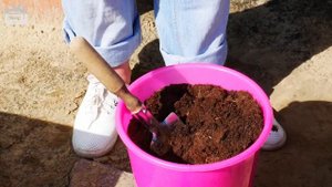 Навоз как удобрение ✔ Виды навоза и особенности применения ➡ Обзор эксперта HitsadTV