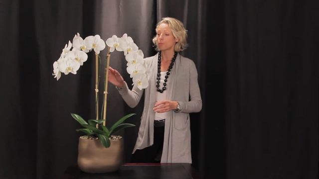 Orchid Arrangement Elegance Copper by Orchid Diva NYC смотреть онлайн