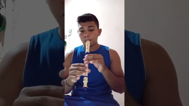 o cravo e a rosa na flauta смотреть онлайн