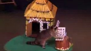 Спектакль Книга странствий (8)