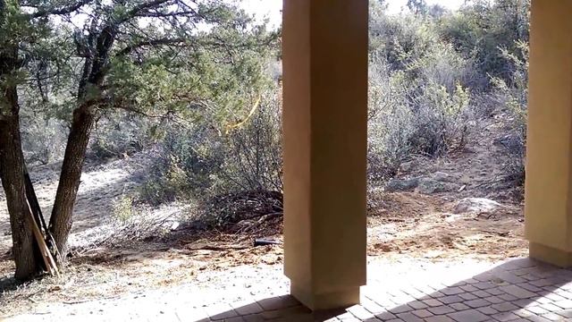 2103 Burlwood Video Walkthrough смотреть онлайн