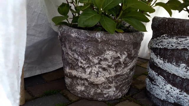 УВАГА!!! НІЧНІ ЗАМОРОЗКИ!!! ПРИКРИВАЄМ РОСЛИНИ ВІД МОРОЗУ. смотреть онлайн