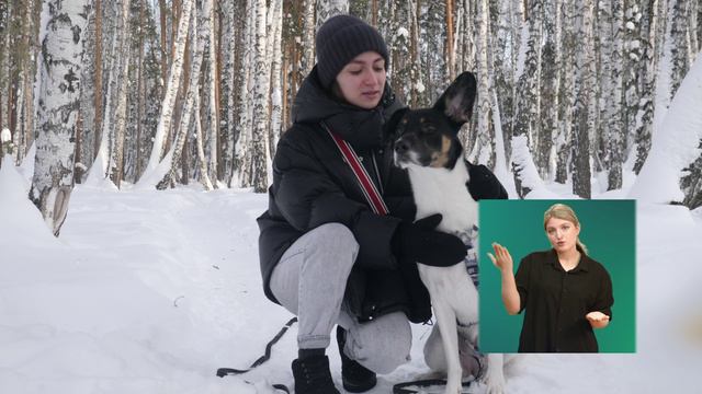 Мягкие лапки (На русском жестовом языке)