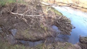 Рыбалка на спиннинг с берега! Малые реки.