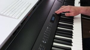 Roland FP-30X vs. FP-90X - Portable Pianos im Test