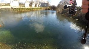 Ловля прудовой форели в Крыму!