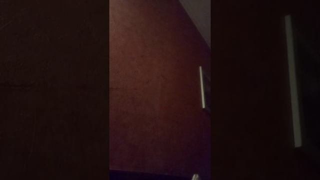 Как обмануть букмекерскую контору