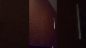 Как обмануть букмекерскую контору