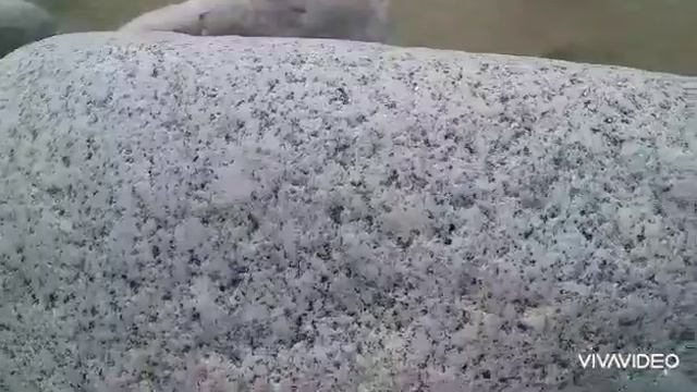 ПОЕЗДКА В ДЗИНАГА/РЕЧКА/ВОЗДУХ смотреть онлайн