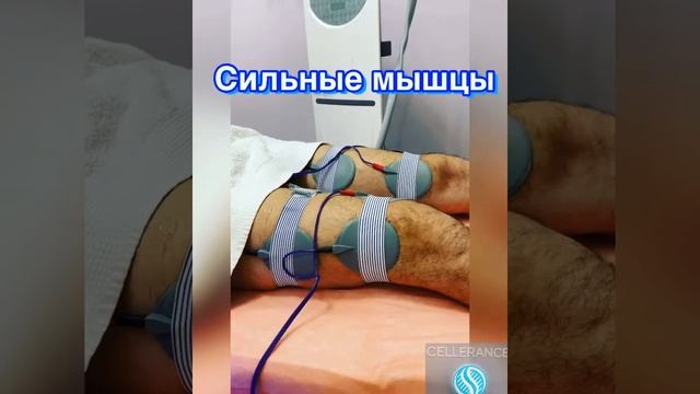Миостимуляция мышц !