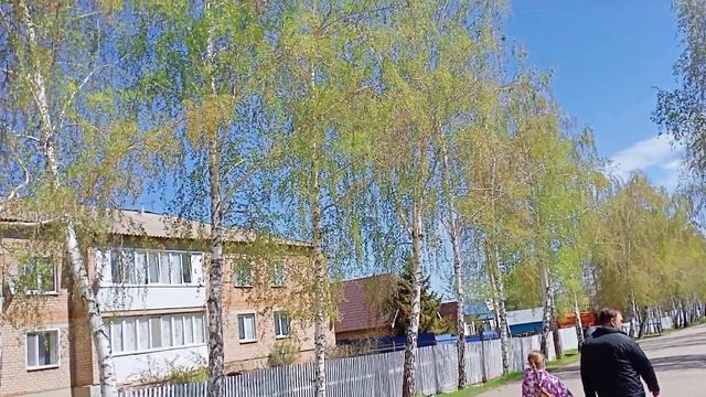Оренбургская область Александровский район село Александровка ул.Рощепкина 03.05.2022