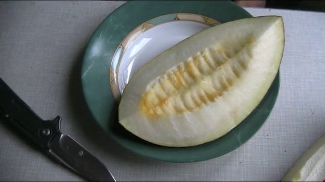 Damm Flipper хоз/быт тест смотреть онлайн