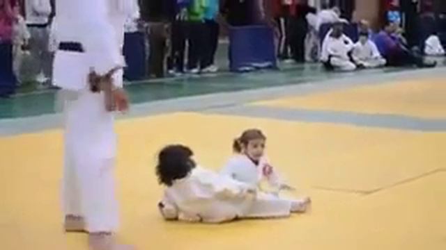 Щеглы дерутся смотреть онлайн