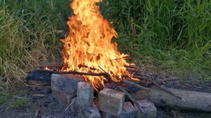 Рыбалка на пруду в Кировской области. Конец июня 2020