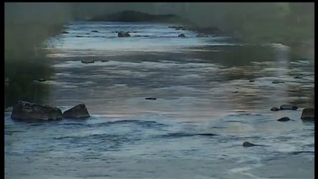 Английская рыболовная школа. Сюжет 5. смотреть онлайн