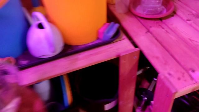 Как использовать пустые сосуды с пользой? 🪴 смотреть онлайн