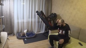 Амстафф 3.5 мес / Начальная тренировка команды«Место» в квартире