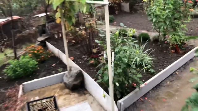 А это еще что такое ?! (10.11.20) смотреть онлайн