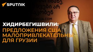 Хидирбегишвили: США предложили Грузии то, что у не уже есть от России