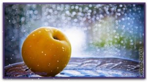 Похудей съедая яблоко на рассвете..