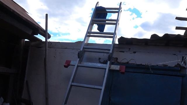 Жарко козочки мои.Разворошили шмелиное гнездо. смотреть онлайн