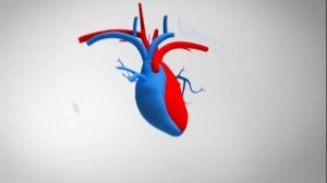 Ролик про Капилар