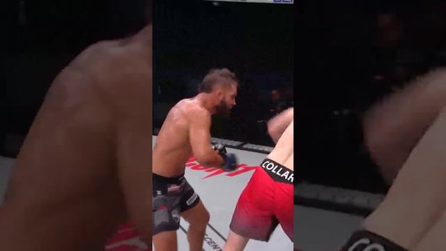 Jeremy Stephens and Clay Collard delivered a Fight of the Year Contender