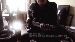 Seymour Duncan Pegasus & Sentient ESP (gear review)