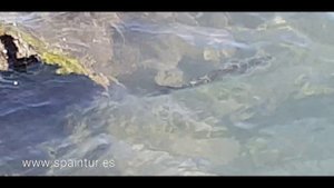 Где в Аликанте водится большая рыба моей мечты, рыбалка в Испании на море и с берега