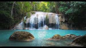 Шум Водопада и Пение Птиц \Звуки природы для сна детей и взрослых