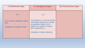 l   четверть, Биология, 7 класс, Урок №9