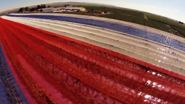 Photoselective Anti-Hail Netting Trial for ‘Honeycrisp’ Apple