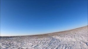 ПОКА ЗАГОНЯЛ, ЕГО ОБОДРАЛИ! охота на волка hunting wolves