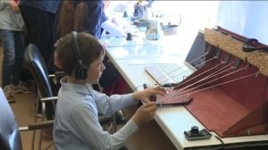 Вольгинский колоколец