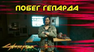 Cyberpunk 2077 - Побег гепарда 49