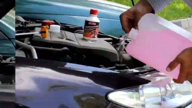 Продукт от компании MA-FRA (Италия) - смывает мозги насекомых Pulimoscerini смотреть онлайн