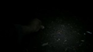 Выползки ч1. Как и где собирать выползков в городе