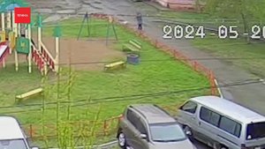 Пес-убийца держит в страхе жителей Ачинска