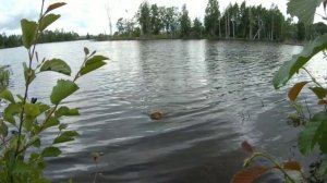 Херабуна,рыбалка по душе...