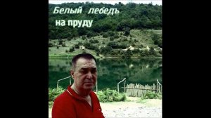 KAMRAN SOVETSKIY ЛЕБЕДЬ НА ПРУДУ