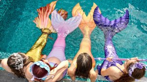 День Нептуна на одной волне в «Чайке»