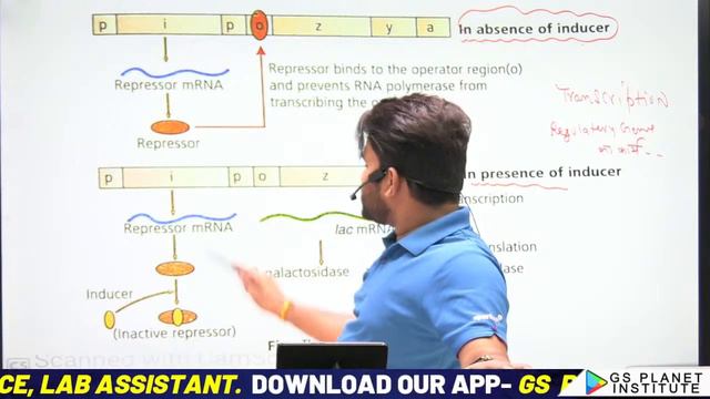 AIIMS BSc Nursing Exam 2024-25 | Day 53/75 | Biology MCQ | 75 Hard Challenge Series