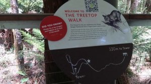 Road Trip: The Great Ocean Road | Apollo Bay to Port Campbell - Victoria, Australia